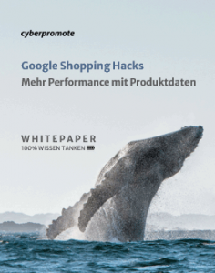 Google Shopping Hacks Whitepaper